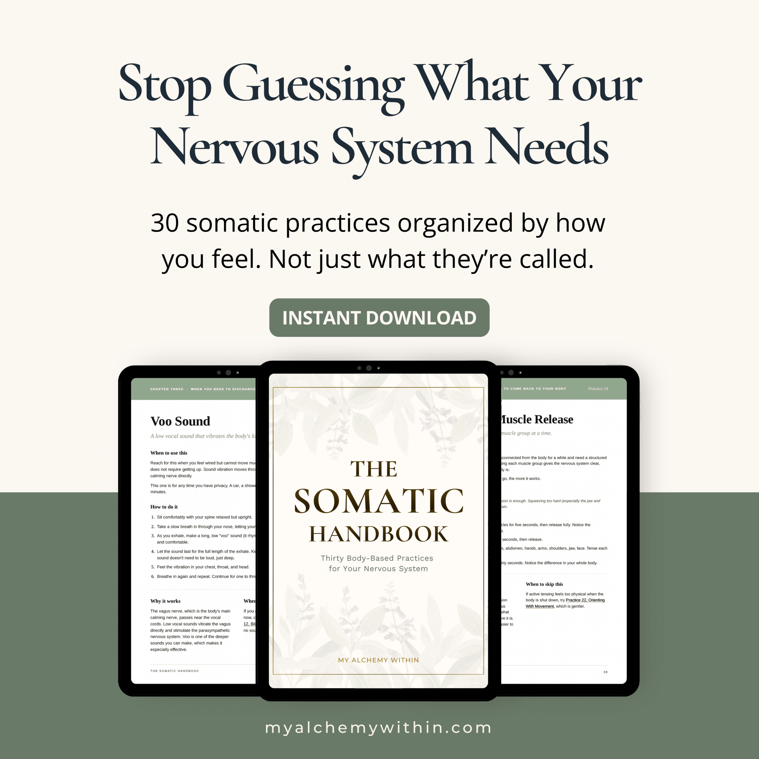 Stop guessing what your nervous system needs